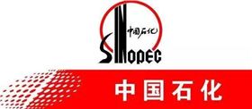 羅德凸輪轉子泵石油石化行業(yè)應用與發(fā)展