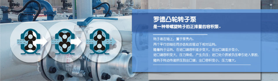 轉子泵廠(chǎng)家