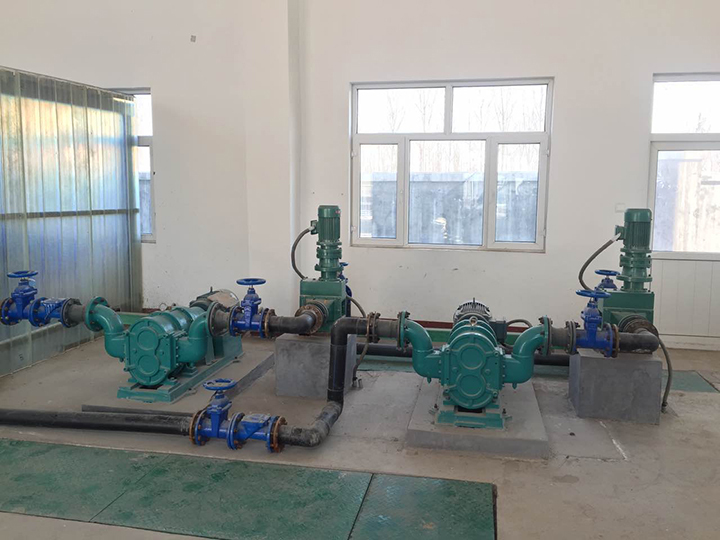 污水處理廠(chǎng)脫水機供料泵