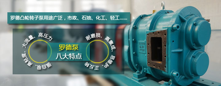 羅德凸輪轉子泵特點(diǎn)