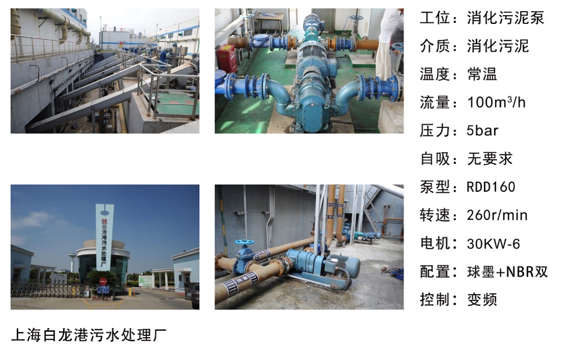 上海白龍港污水處理廠(chǎng)----消化污泥泵