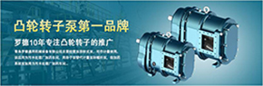 羅德轉子泵與南方某電機廠(chǎng)家技術(shù)交流，討論合作.