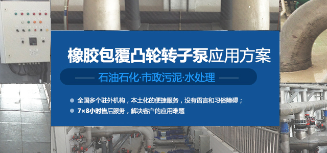專(zhuān)業(yè)的凸輪轉子泵應用方案提供者和服務(wù)的創(chuàng  )新領(lǐng)袖